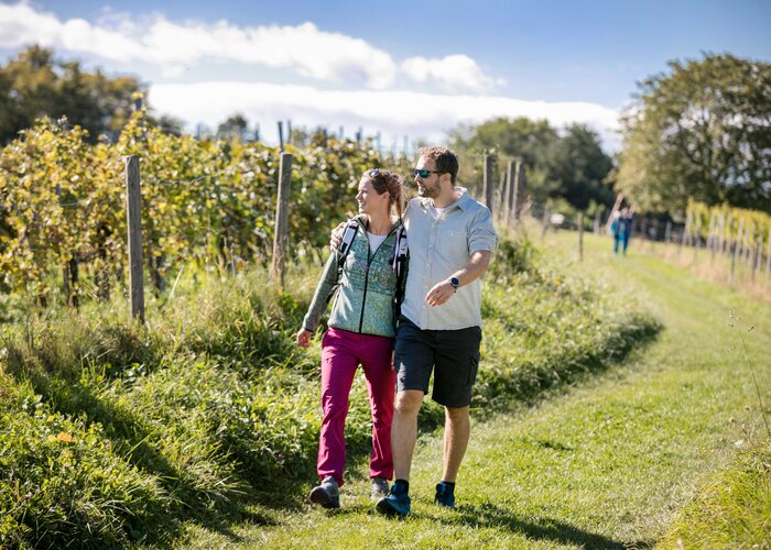 Wine-hiking | © Thermen- & Vulkanland | Harald Eisenberger