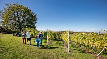 Wanderungen durch die steirischen Weinberge | © Thermen- & Vulkanland | Harald Eisenberger