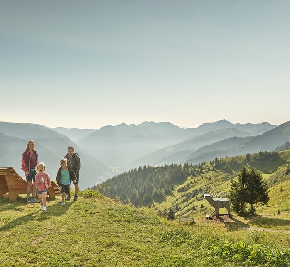 Riesneralm | © Schladming-Dachstein / Peter Burgstaller | © Schladming-Dachstein / Peter Burgstaller