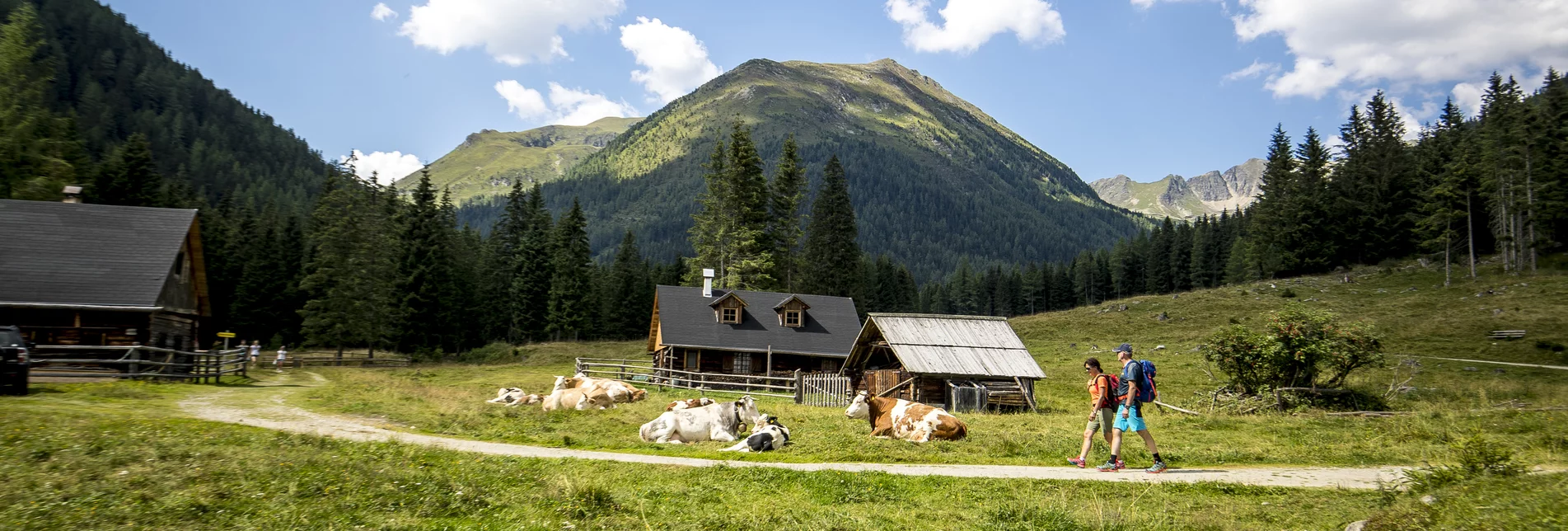 ^Wandern in der Krakau | © Holzwelt Murau | Tom Lamm