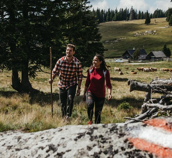 Wandern auf der Alm in der Südsteiermark | © TV Südsteiermark | Achromatic Photography