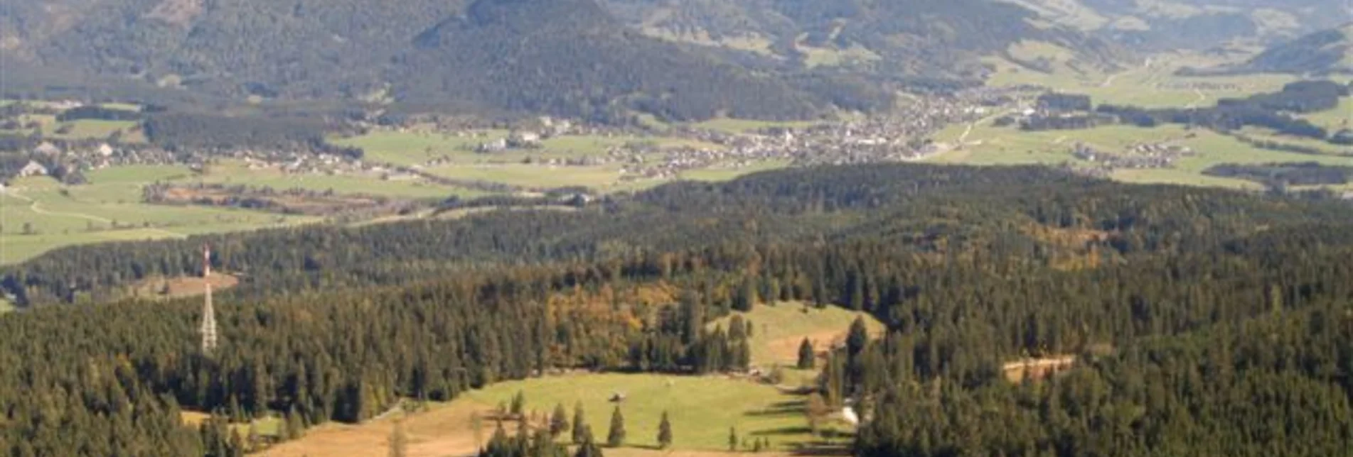 Reiten Reitweg von Obersdorf zur Steinitzenalm - Touren-Impression #1 | © mediasoft