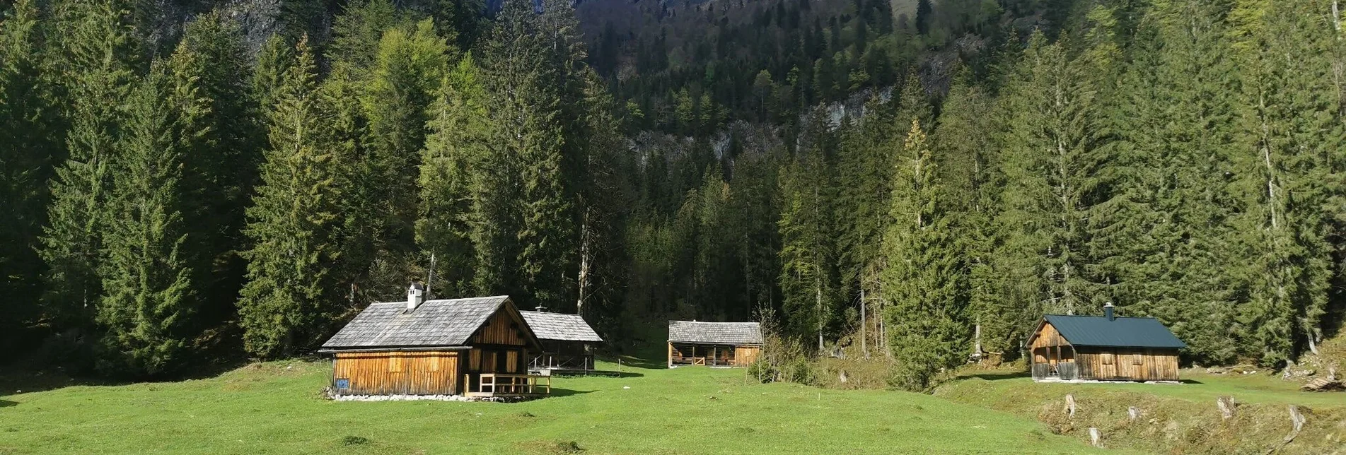 Wanderung Wanderung zur Zimitzalm - Touren-Impression #1 | © Ausseerland