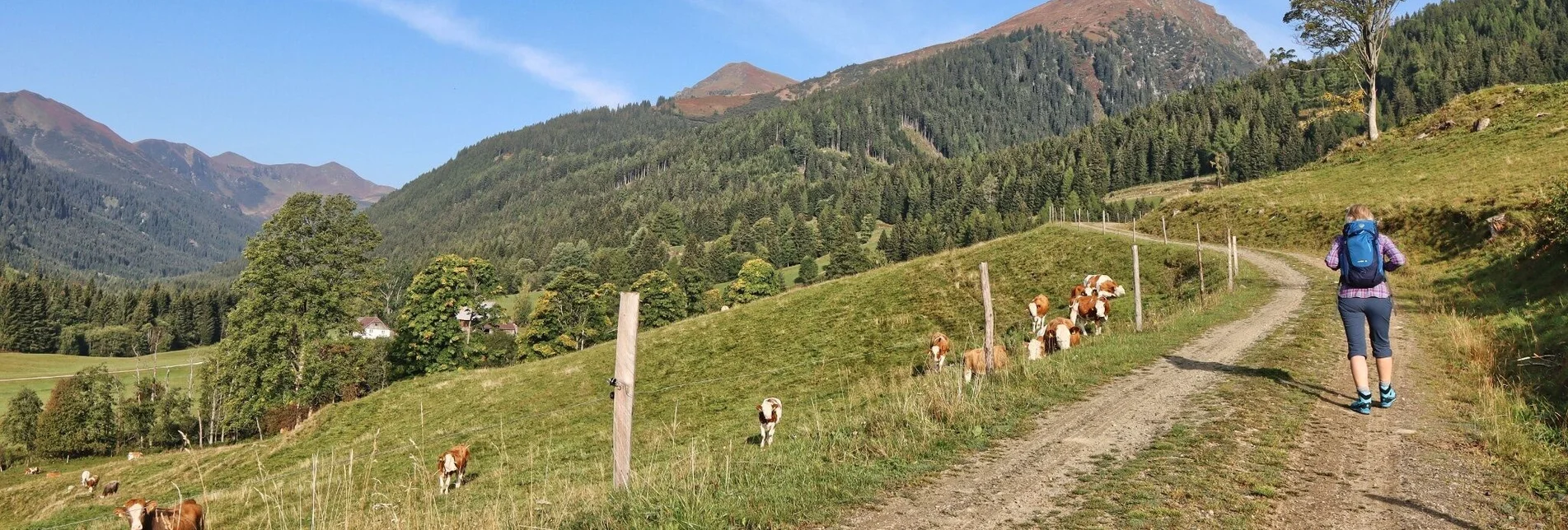 Wanderung Hochschwung - Gipfelwanderung in den Wölzer Tauern - Touren-Impression #1 | © Weges OG