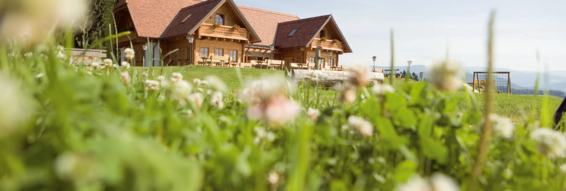 Bike Riding From Wenigzell to Waldbach, Wenigzell - Touren-Impression #1 | © Oststeiermark Tourismus