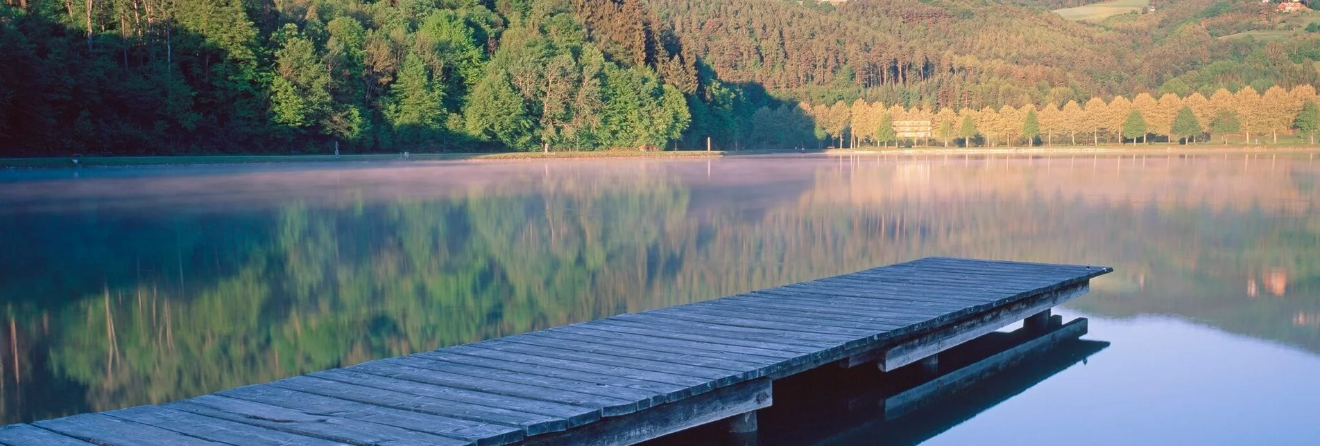 Road Cycling Apfelland Tour - Touren-Impression #1 | © Oststeiermark Tourismus