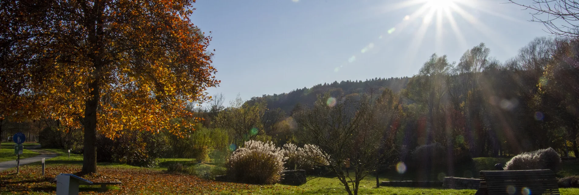 Nordic Walking Laufstrecke Bad Blumau - Touren-Impression #1 | © Kurkommission Bad Blumau