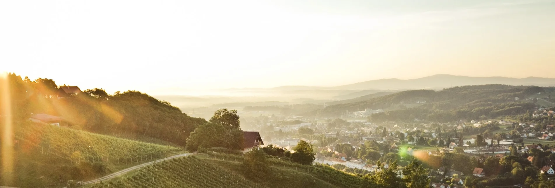 Hiking route Stage 18 From Glacier to Wine South Route Weinebene - Deutschlandsberg - Touren-Impression #1 | © Lupi Spuma