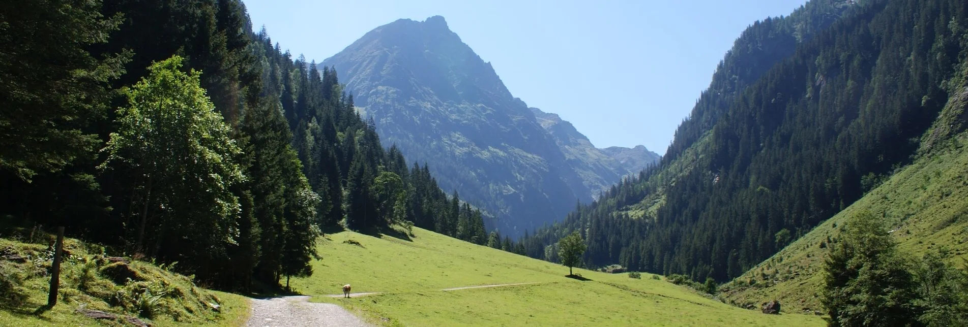 Wanderung Gollinghütte und Gollingwinkel im Steinriesental - Touren-Impression #1 | © Gerhard Pilz