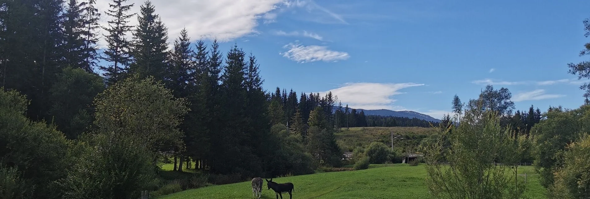 Wanderung Obersdorfer Rundweg - Touren-Impression #1 | © Ausseerland