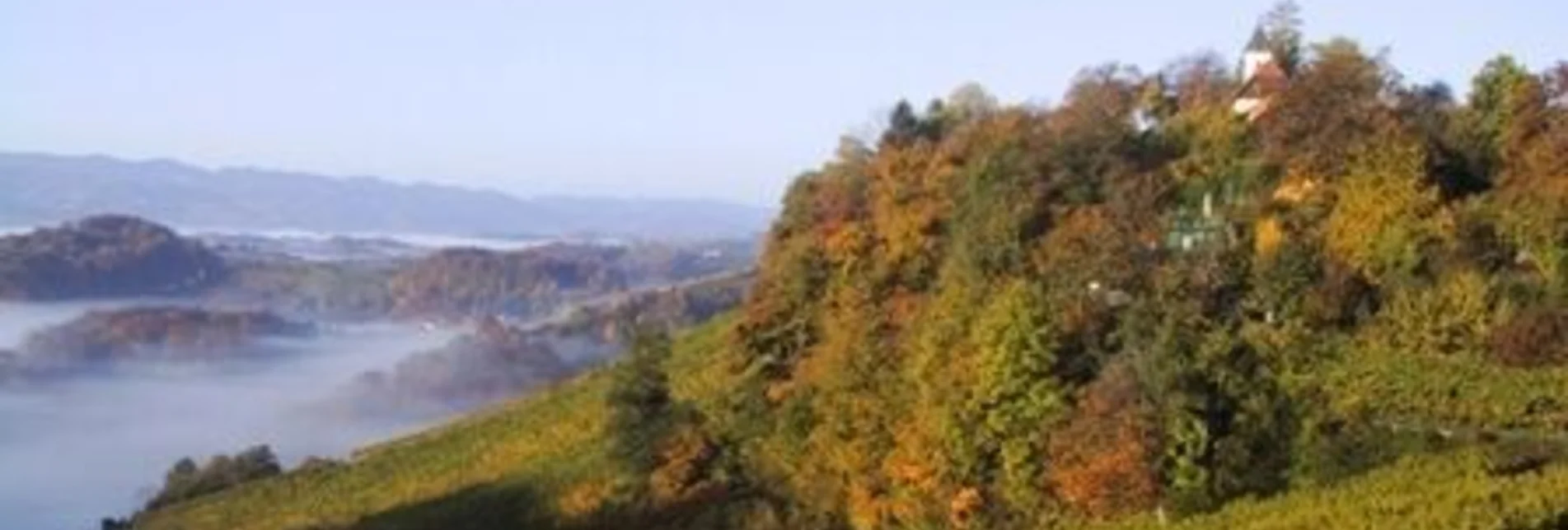 Wanderung Berghausener Rundwanderweg 2 - Touren-Impression #1 | © TVB Südsteiermark/Freundorfer