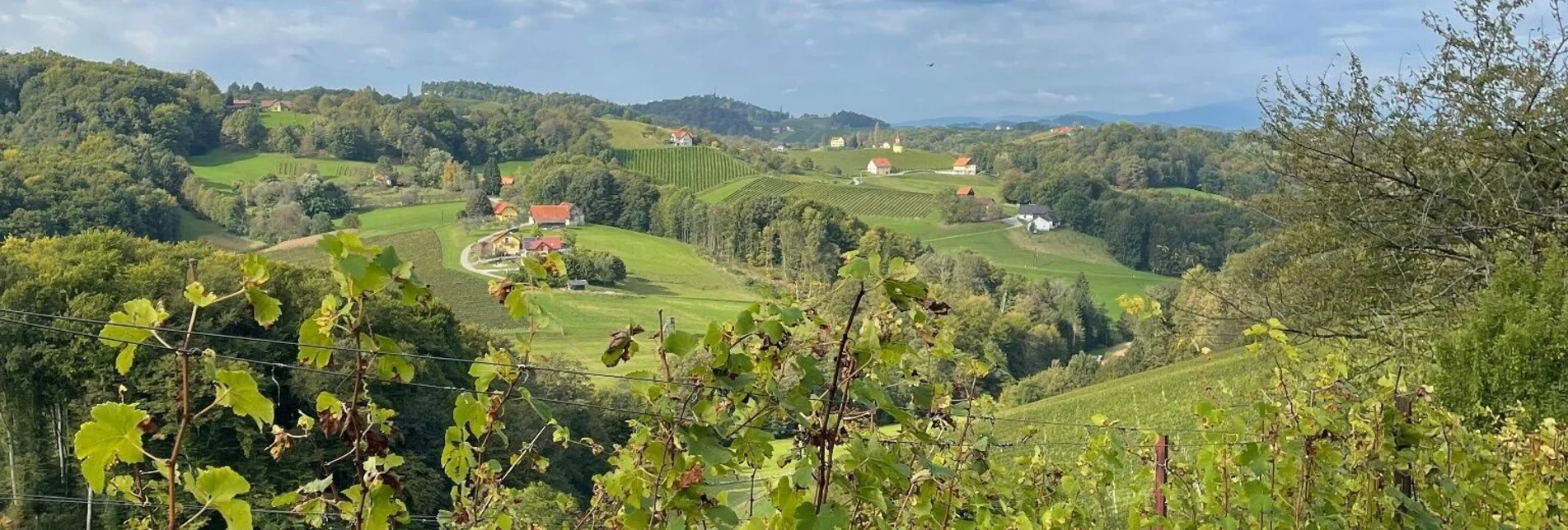 Wanderung Berghausener Rundwanderweg 1 – Tour 7 lt. WK „Von der Alm zum Wein“ - Touren-Impression #1 | © TVB Südsteiermark/Brigitte Weihs