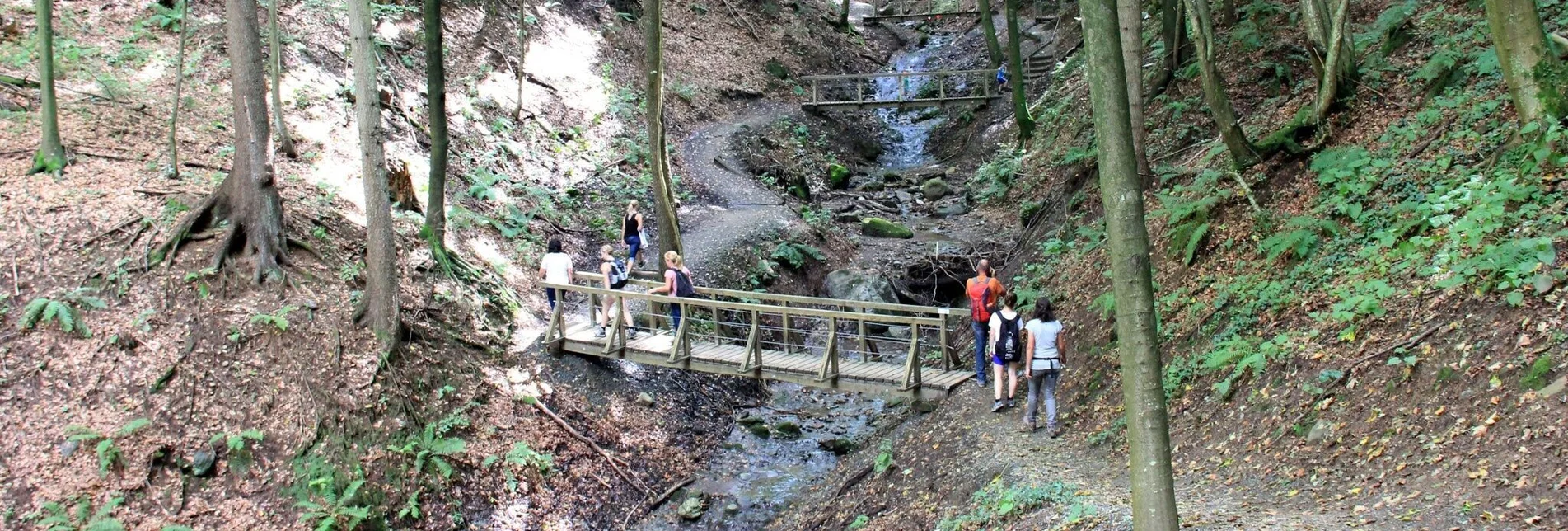 Hiking route Altenbachklamm (gorge walk) - Touren-Impression #1 | © TV Die Südsteirische Weinstraße/Ulrike Elsneg