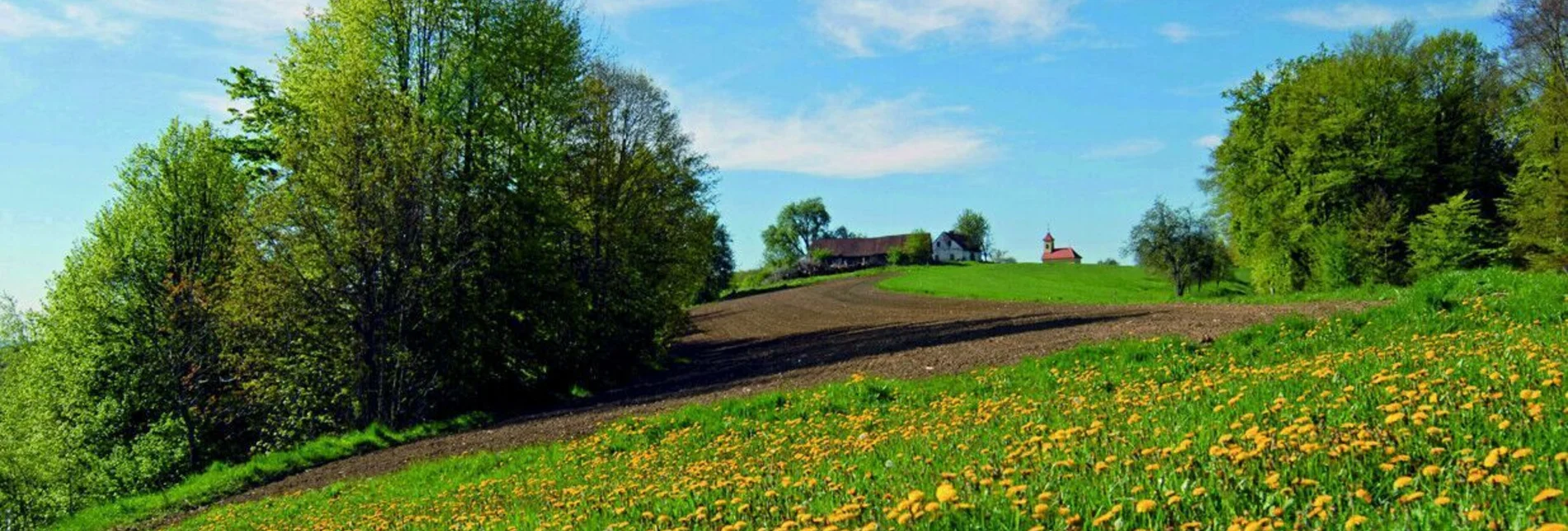 Radfahren Spielfeld Runde - Touren-Impression #1 | © Erlebnisregion Thermen- & Vulkanland