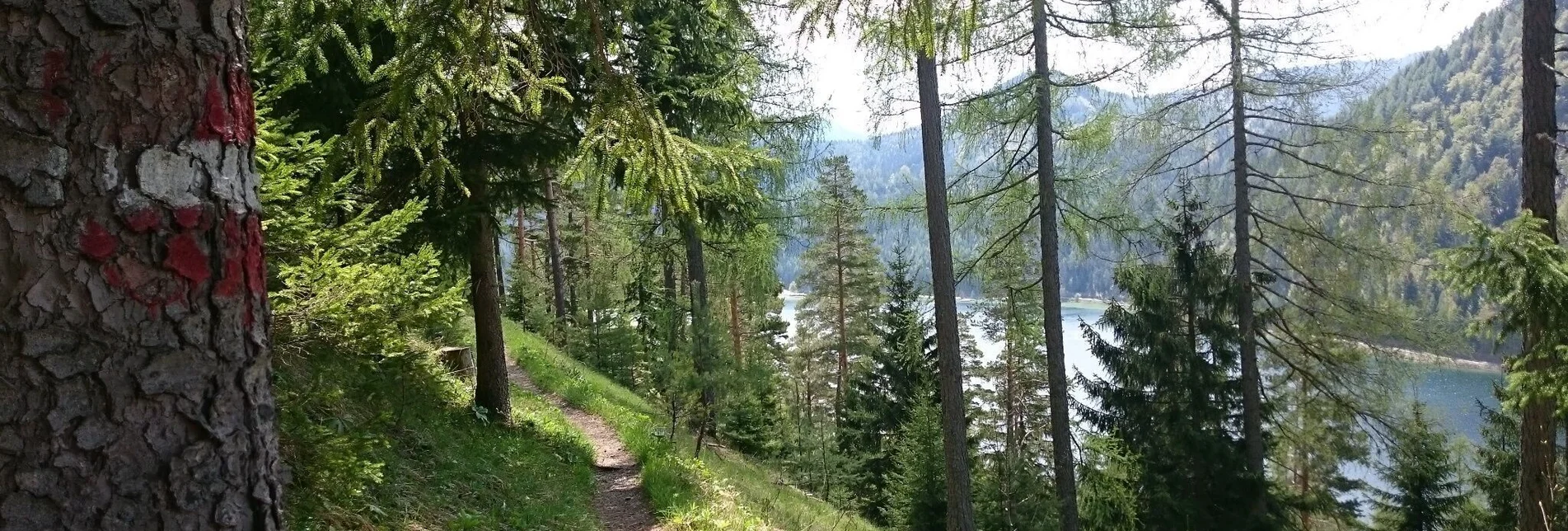 Wanderung Gemeindealpe - Touren-Impression #1 | © TV Hochsteiermark