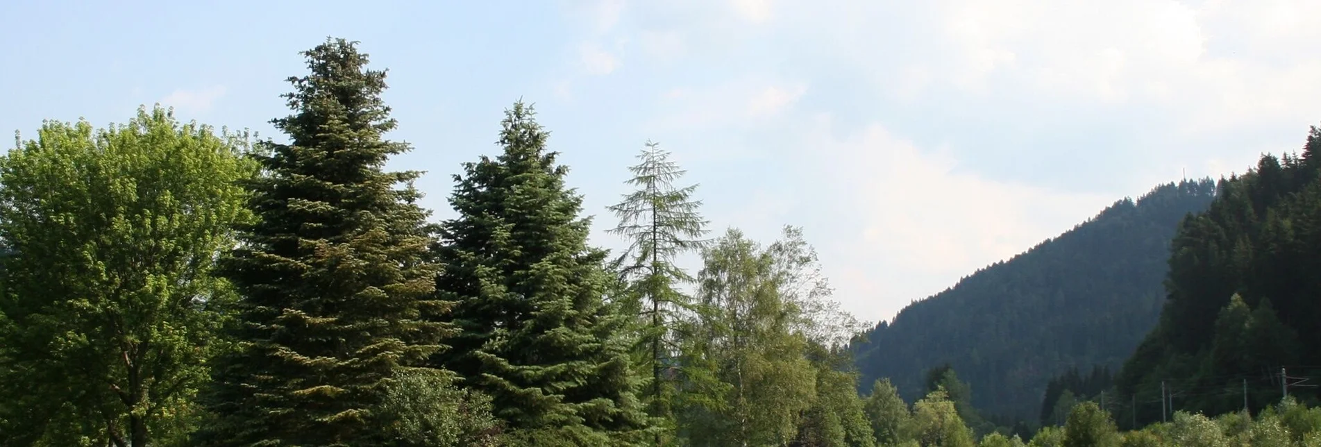 Hiking route To Dürnstein Castle - Touren-Impression #1 | © Tourismusverband Murau