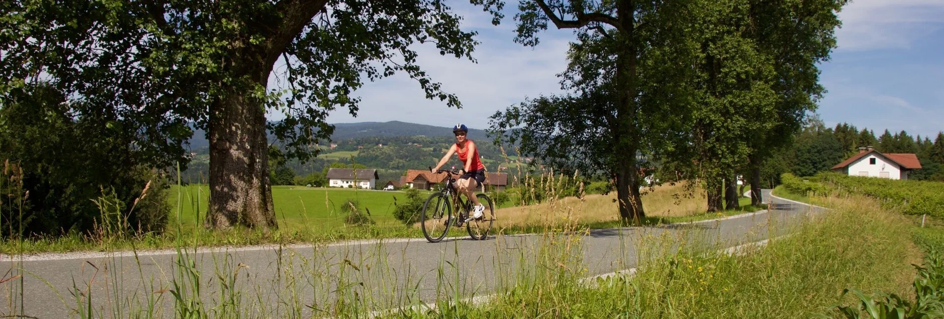 Bike Riding 3 Market Tour - Touren-Impression #1 | © Region Graz