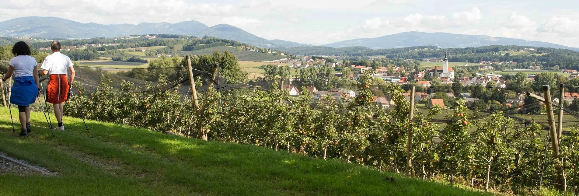 Hiking route Rauchenbergweg, St. Ruprecht/Raab - Touren-Impression #1 | © Oststeiermark Tourismus