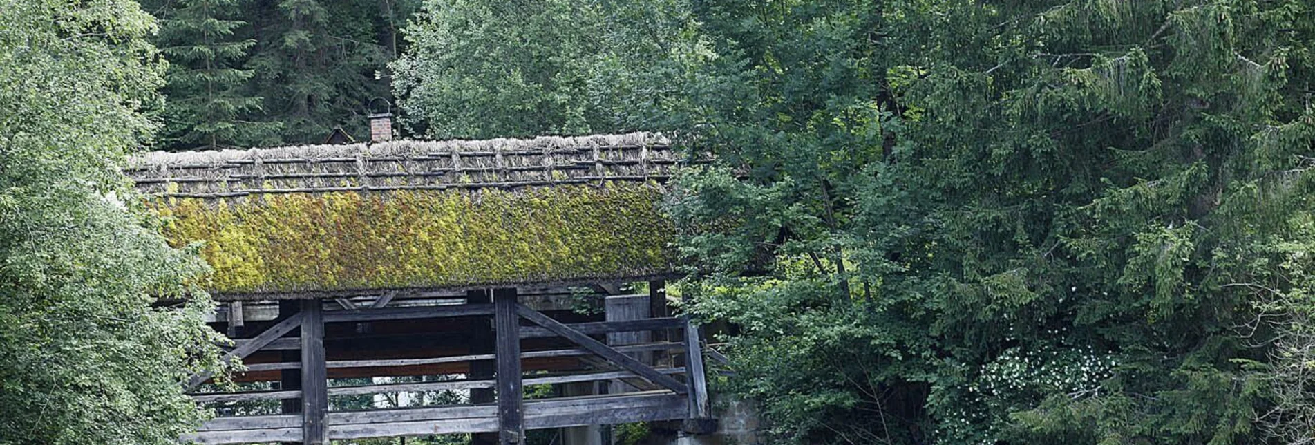 Pilgerweg 4. Etappe: Jakobsweg Weststeiermark - Touren-Impression #1 | © TV Lipizzanerheimat