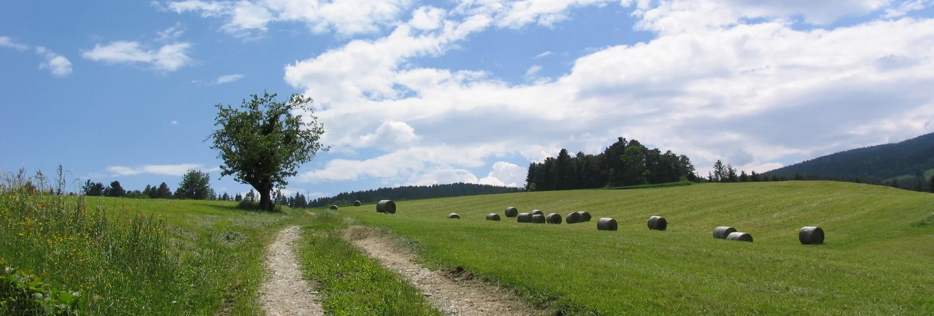 Wanderung Herlwirtweg - Touren-Impression #1