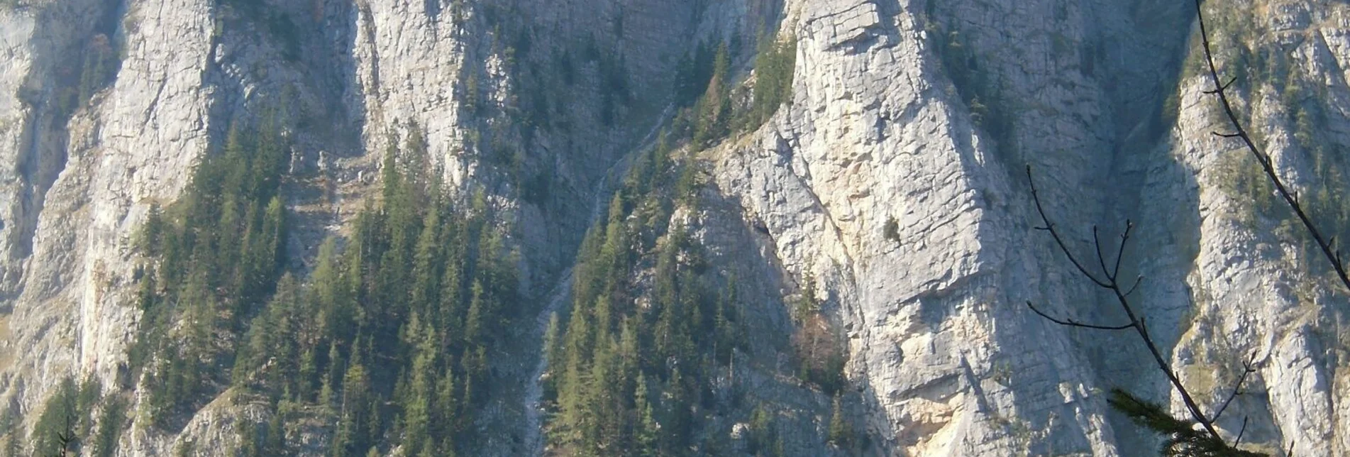 Hiking route Through the Gofergraben - Touren-Impression #1 | © TV Gesäuse