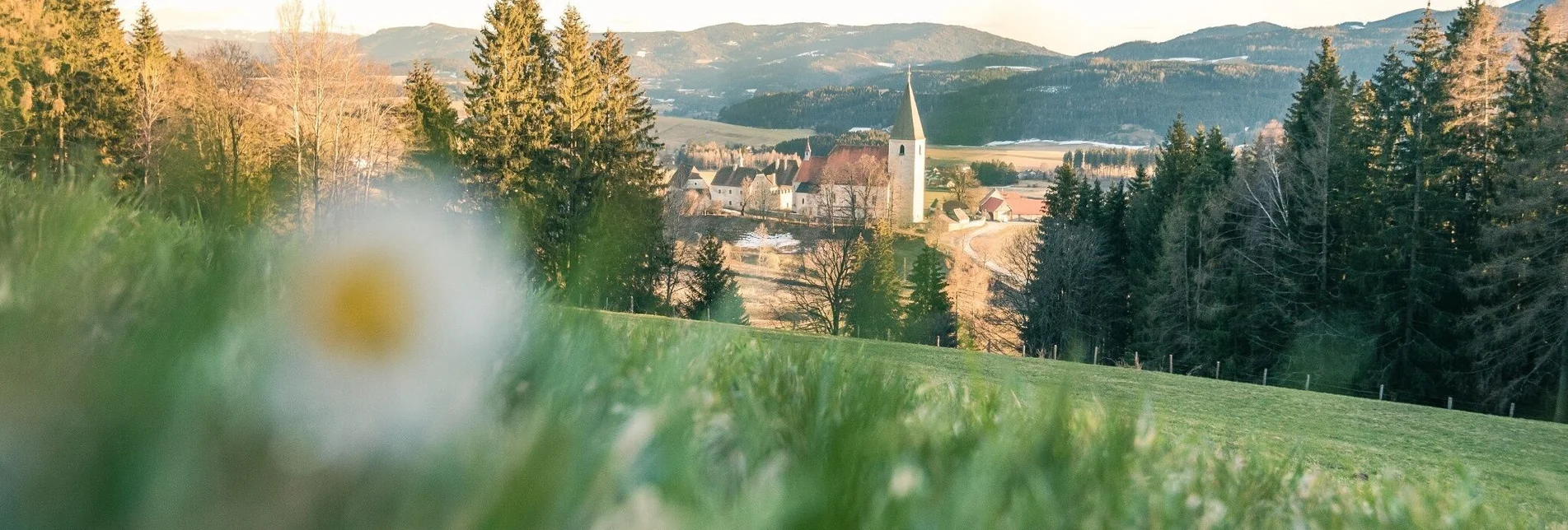 Themen- und Lehrpfad Eiszeit - Ab durch die Grundmoräne - Touren-Impression #1 | © Tourismusverband Murau