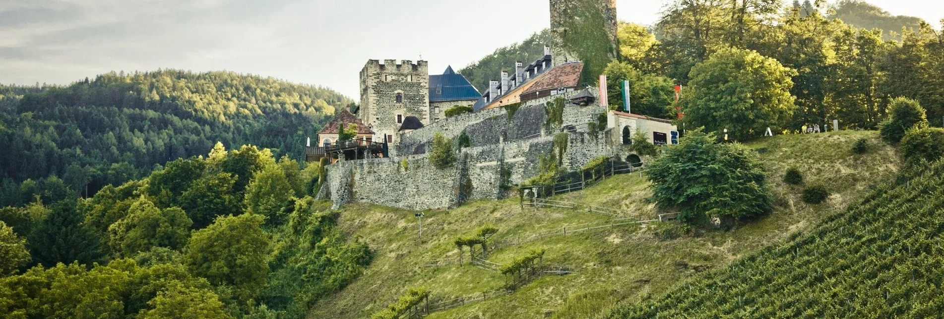 Hiking route Wine educational trail - Touren-Impression #1 | © TVB/Südsteiermark/Lupi Spuma