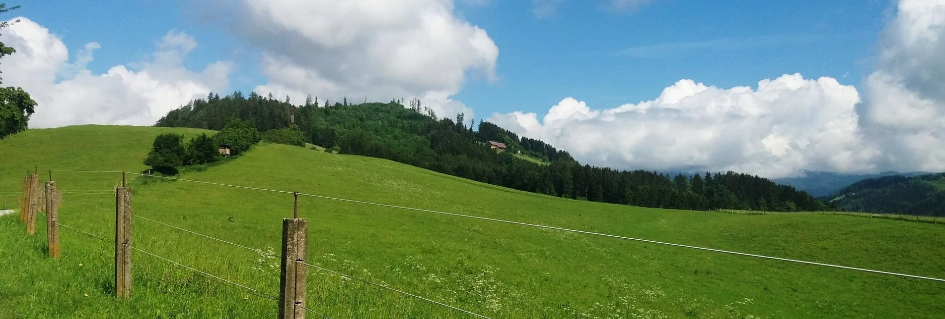 Wanderung Durch einen  schönen Hochwald (4) - Touren-Impression #1 | © Region Graz