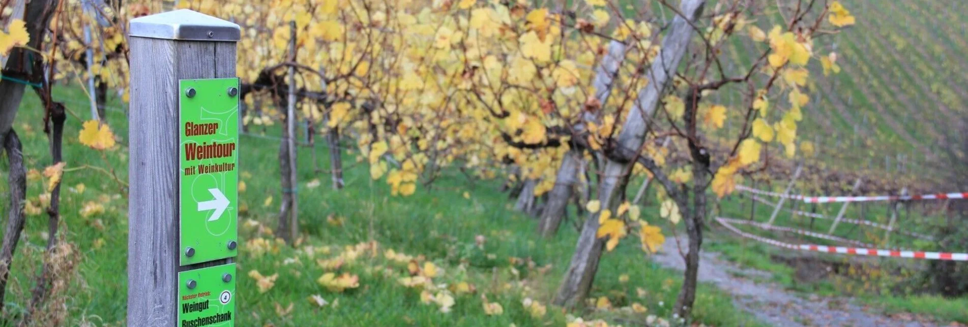 Wanderung Glanzer Weintour mit Weinkultur - Touren-Impression #1 | © Ulrike Elsneg