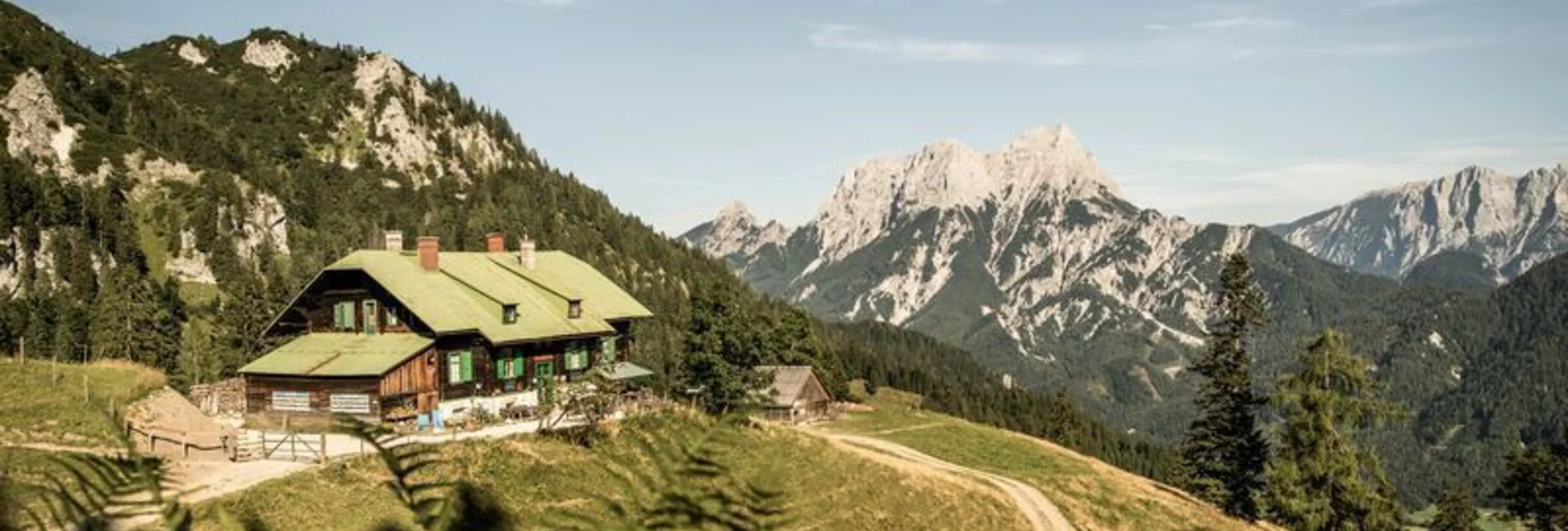 Wanderung Vom Buchauer Sattel zur Grabneralm - Touren-Impression #1 | © TV Gesäuse