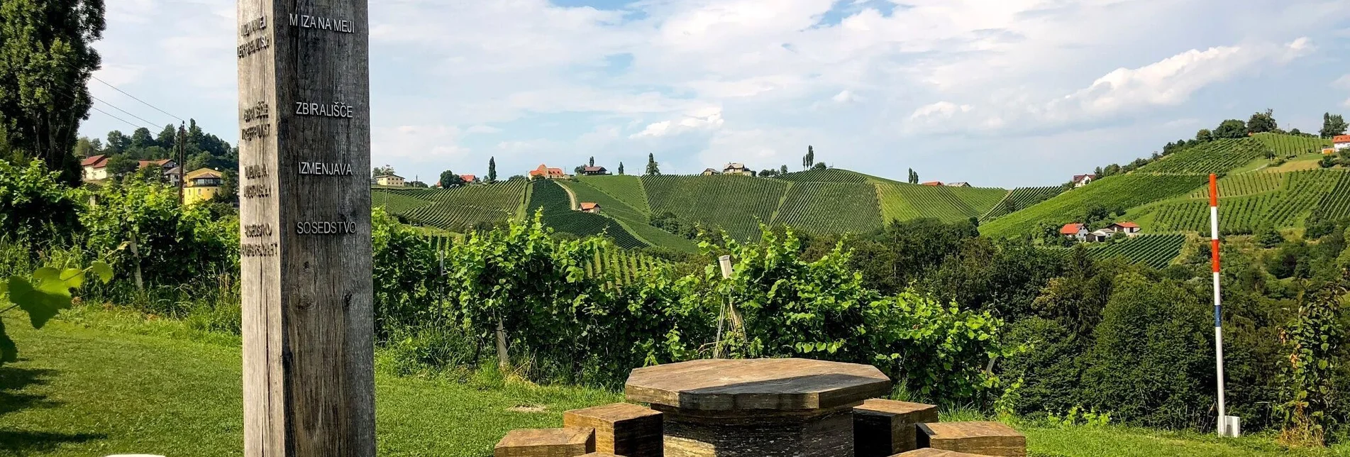 Hiking route Kulinarische Weinbergwanderung – Tour 15 lt. WK „Von der Alm zum Wein“ - Touren-Impression #1 | © (c) Steiermark Tourismus/Martina Traisch