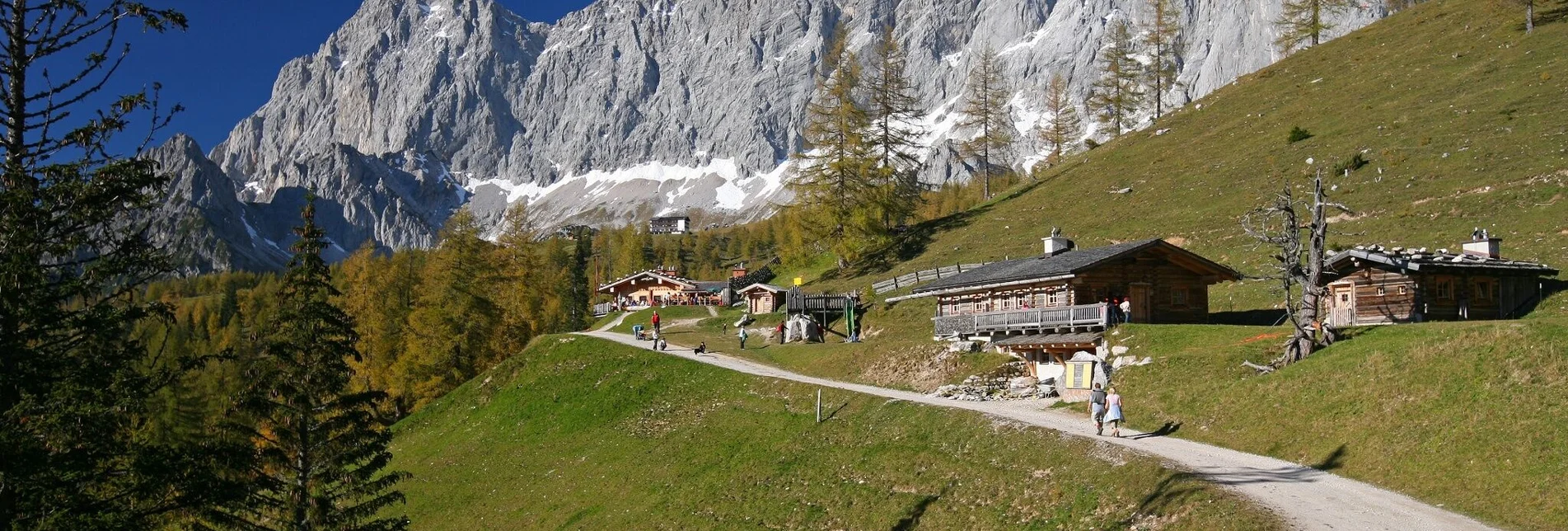 Wanderung Almspaziergang - Touren-Impression #1 | © Erlebnisregion Schladming-Dachstein