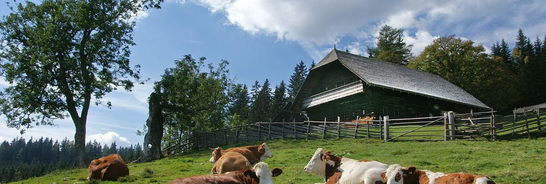 Theme path Rosegger Almrunde - Touren-Impression #1 | © TV Hochsteiermark