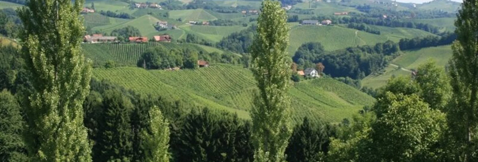 Bike Riding Cycling for pleasure - Wine Road Tour Variant 1 - "Kranachberg-Heimschuh" - Touren-Impression #1 | © Südsteiermark