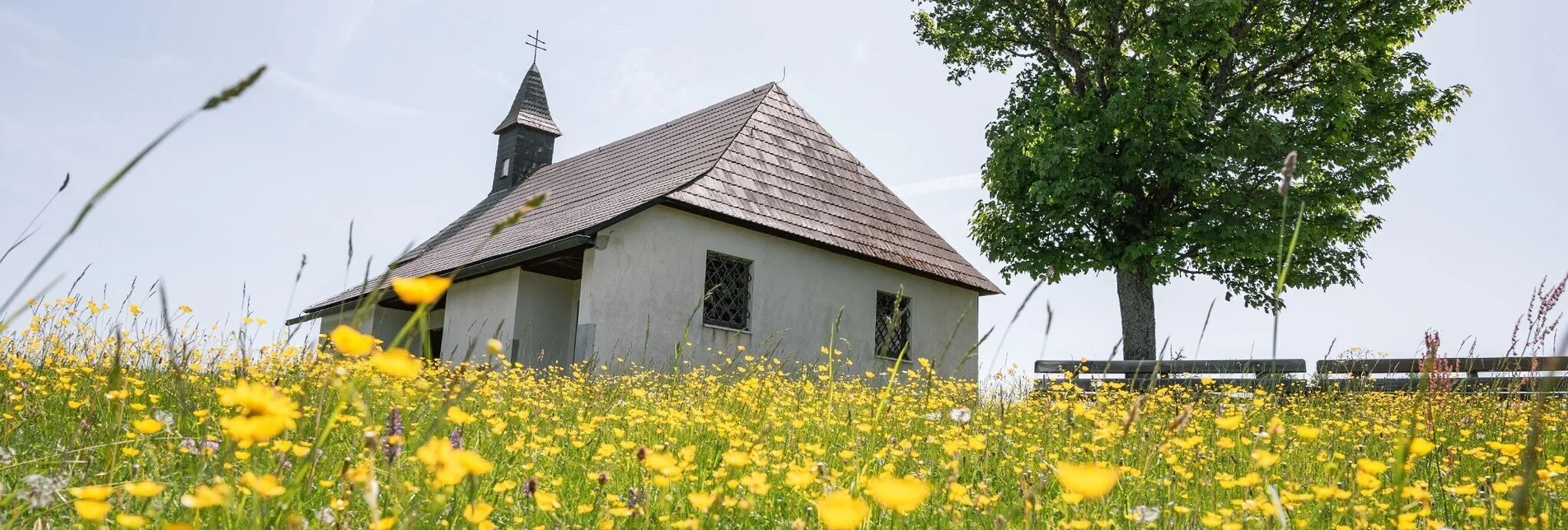 Wanderung 30er Runde - Touren-Impression #1 | © Tourismusverband Murau