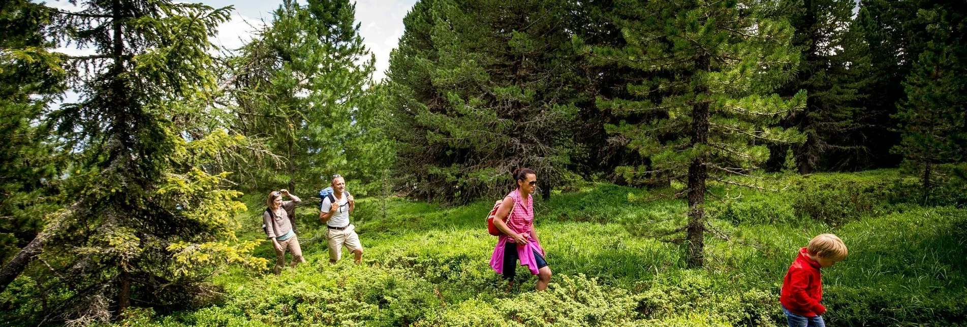 Wanderung Kreischbergsee-Runde - Touren-Impression #1 | © Tourismusverband Region Murau