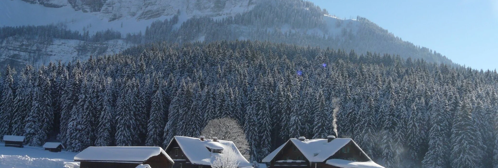 Ski-nordic-classic Blaa Alm - Rettenbach trail - Touren-Impression #1 | © Ausseerland