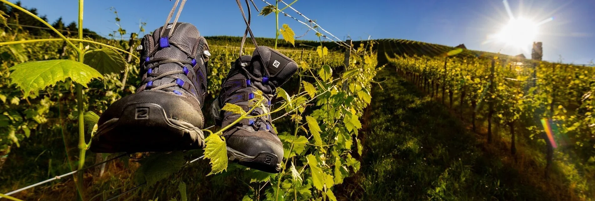 Hiking route Grubtaler Weg, Nr. 2 - Touren-Impression #1 | © TVB Südsteiermark/Harry Schiffer