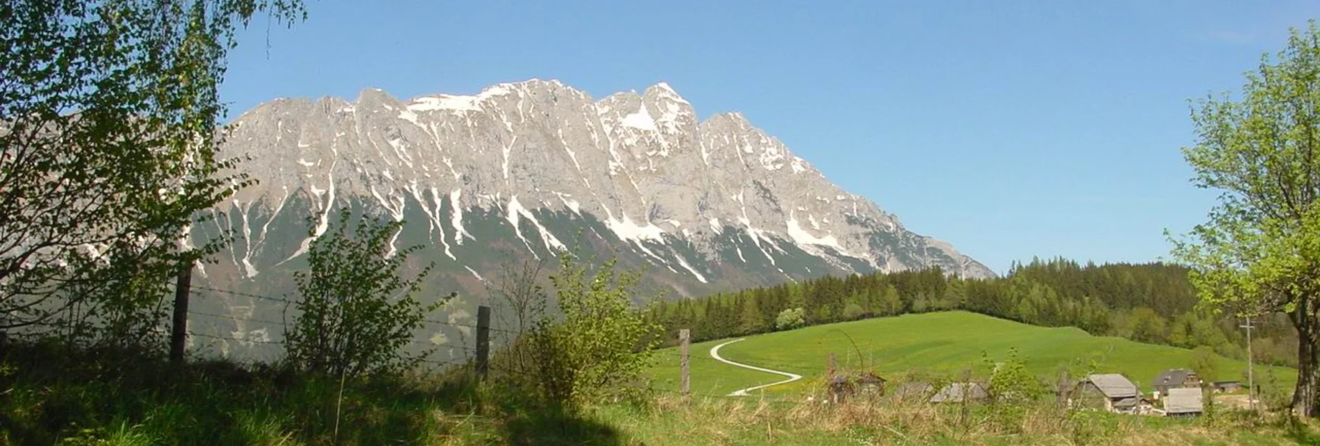 Nordic Walking Marathon Route at Mitterberg - Touren-Impression #1 | © Erlebnisregion Schladming-Dachstein