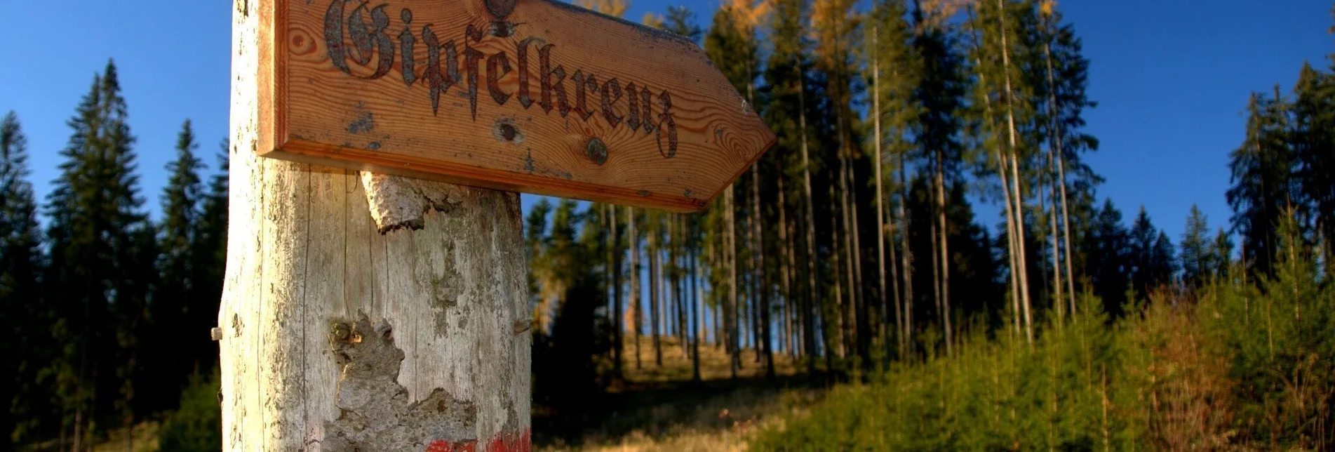 Wanderung Wanderung von Bruck an der Mur auf das Madereck - Touren-Impression #1 | © TV Hochsteiermark