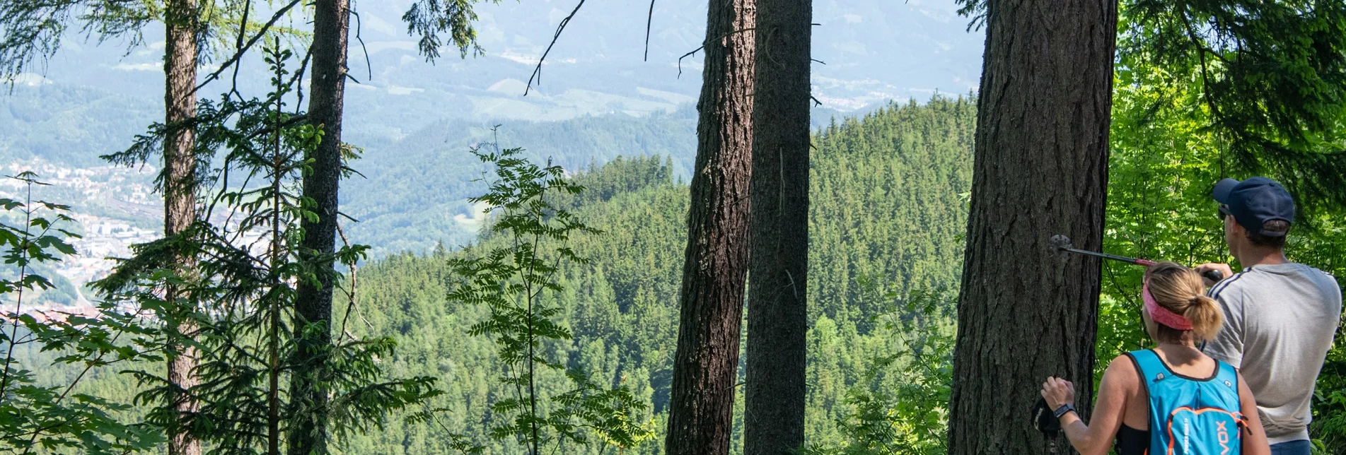 Wanderung Brucker Heubergrunde - Touren-Impression #1 | © Tourismusverband Bruck an der Mur