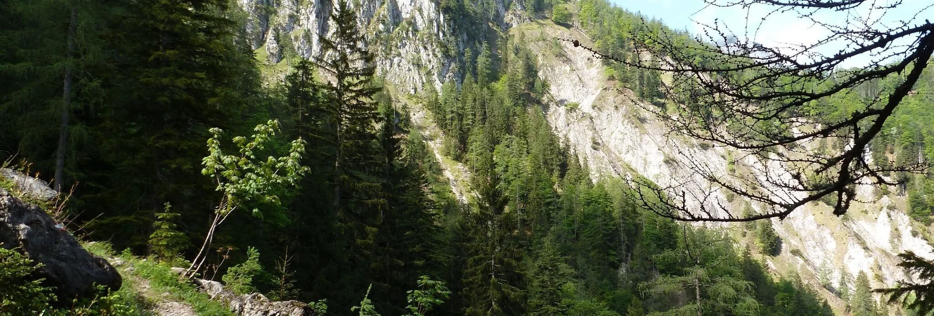 Bergtour Hinterwildalpen - Eisenerz - Touren-Impression #1 | © Tourismusverband Wildalpen