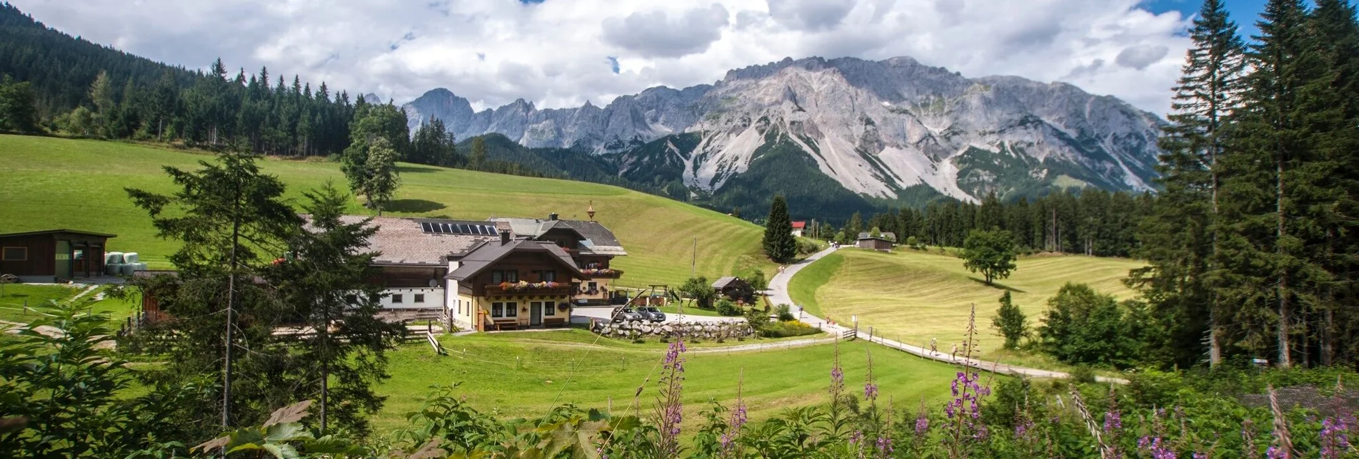 Wanderung Rittispanoramaweg - Touren-Impression #1 | © Gerhard Pilz - www.gpic.at