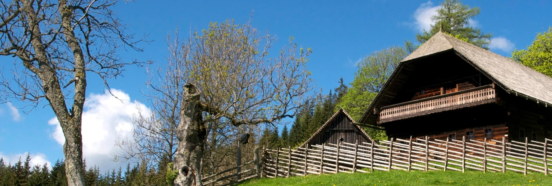 Long-Distance Hiking Etappe 10: BergZeitReise Pretul - Alpl - Fischbach - Touren-Impression #1 | © TV Hochsteiermark