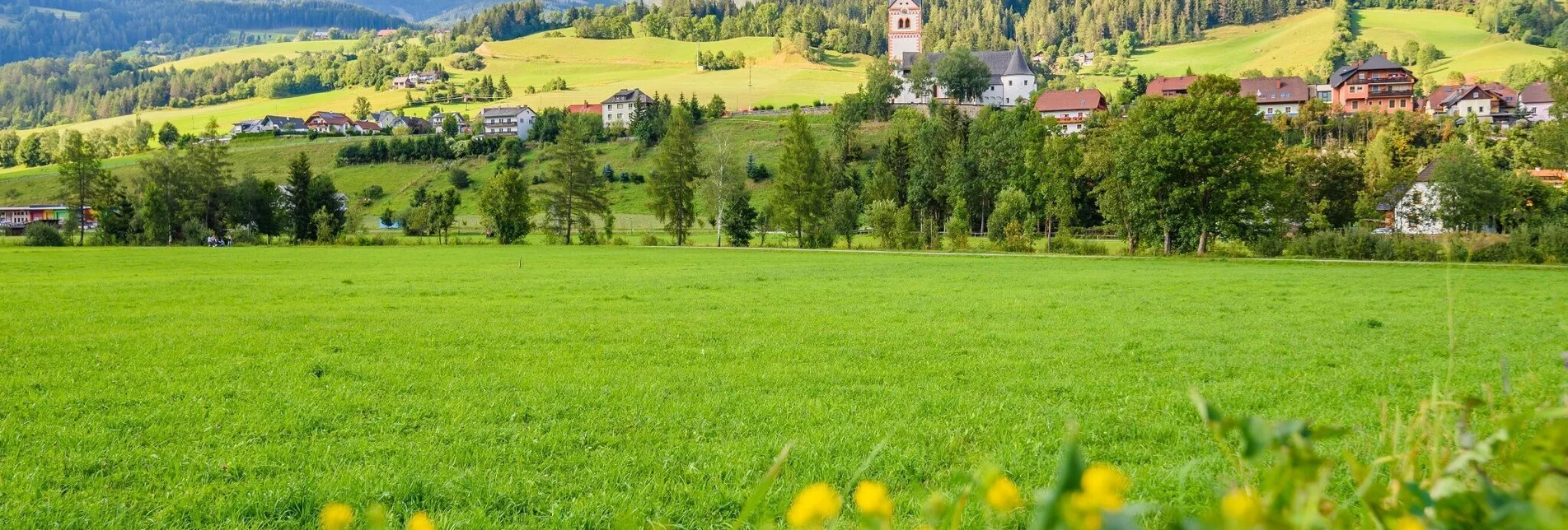 Hiking route 2-mountain panorama round - Touren-Impression #1 | © Tourismusverband Murau