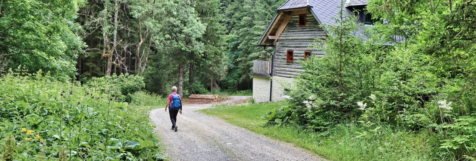 Hiking route Steinplan from the Rachau - Augerlgraben - Touren-Impression #1 | © Weges OG