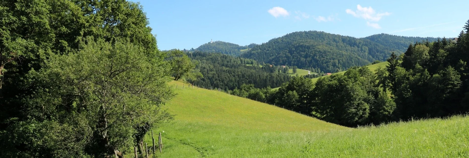 Hiking route UrKräuterweg am Remschnigg - Touren-Impression #1 | © TV Südsteiermark