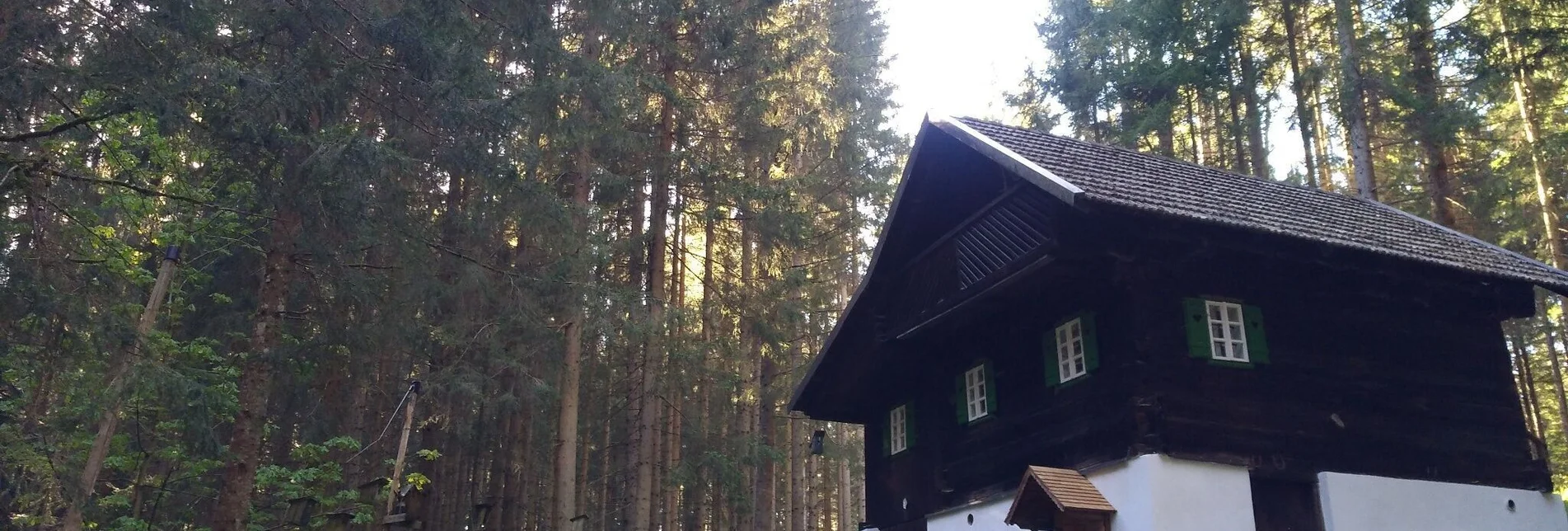 Wanderung Rundwanderweg - Kleinland, Nr. 6, Wenigzell - Touren-Impression #1 | © Oststeiermark Tourismus