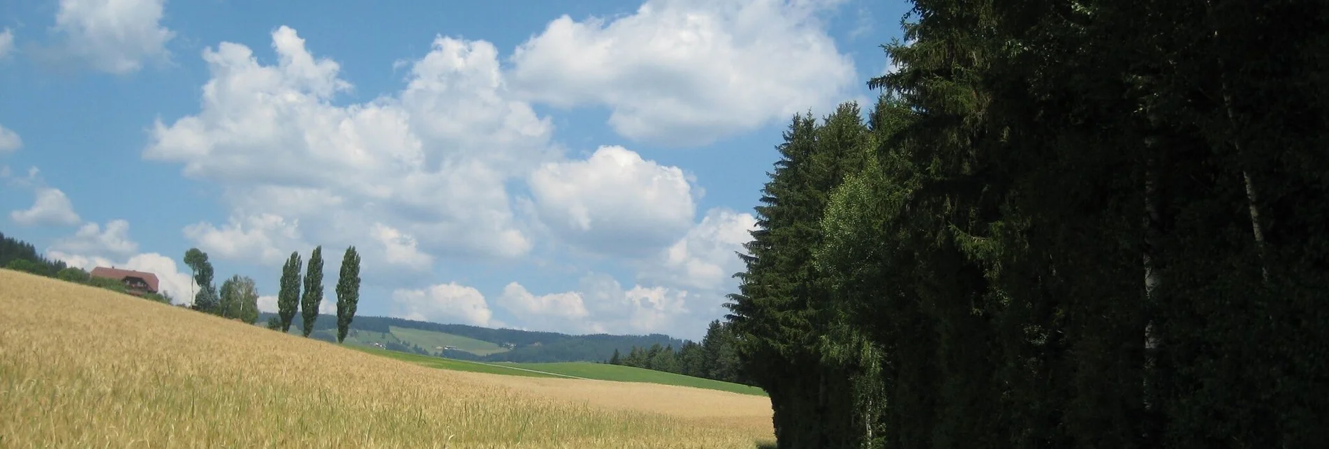 Hiking route Circular hiking trail - St. Jakob im Walde village boundary, No. 7, Wenigzell - Touren-Impression #1 | © Oststeiermark Tourismus