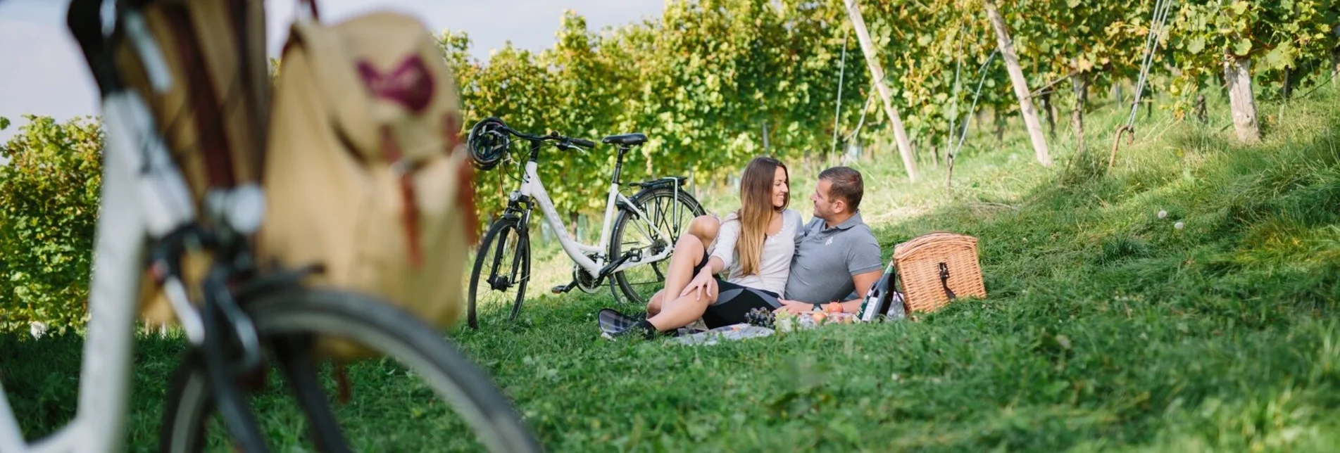 Radfahren Genussradeln zu den Weizer Schafbauern und zum Steirischen Kürbiskernöl - Touren-Impression #1 | © Oststeiermark Tourismus